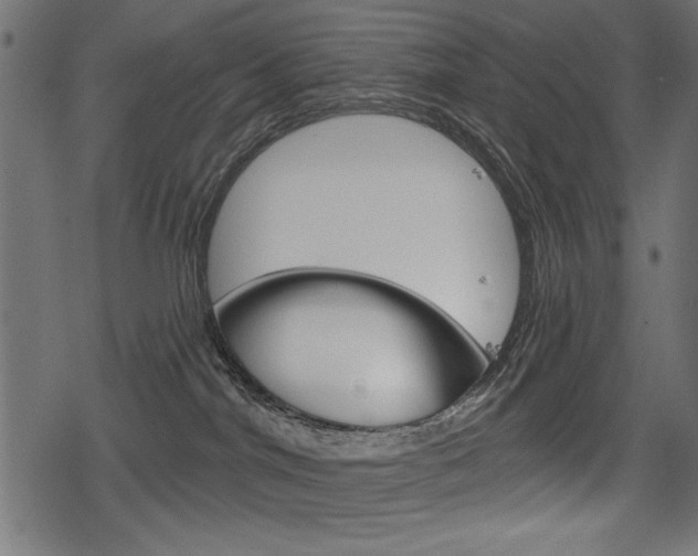 X0000078290044200611031003