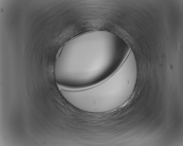 X0000078290045200611031003