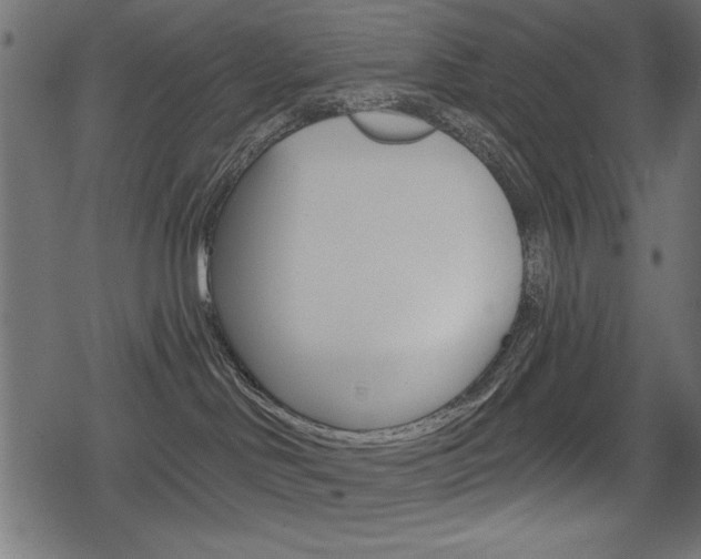 X0000078290046200611031003