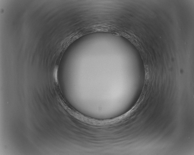 X0000078290047200611031003