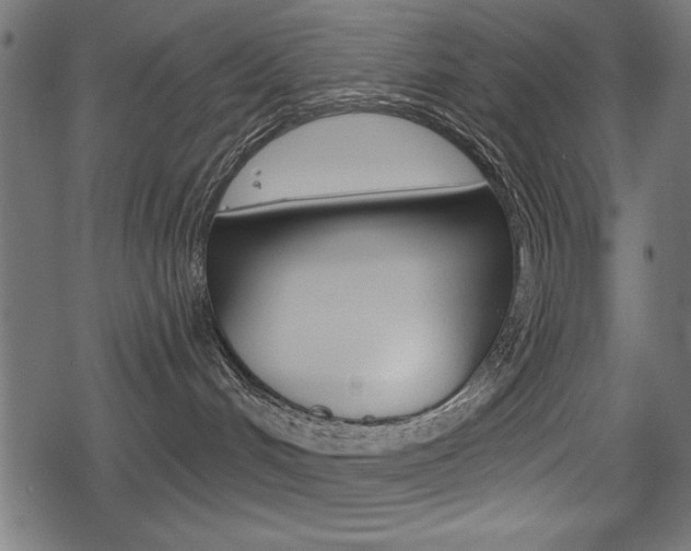 X0000078290048200611031003