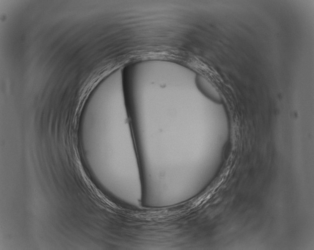 X0000078290049200611031002