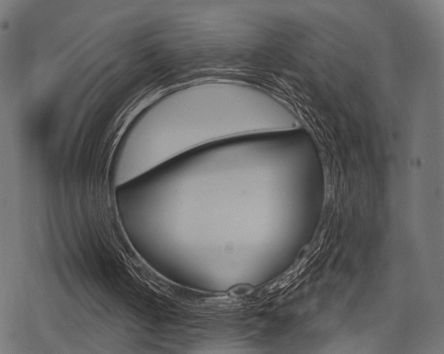 X0000078290050200611031002