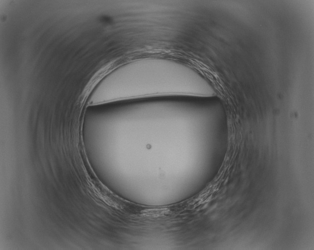 X0000078290051200611031002