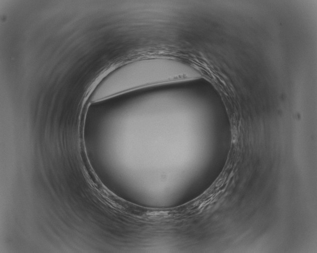 X0000078290052200611031002