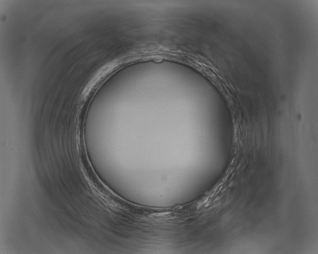 X0000078290054200611031002