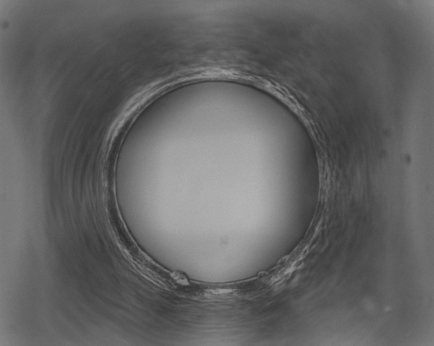 X0000078290055200611031002