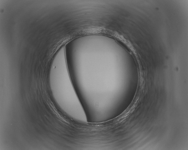 X0000078290057200611031002