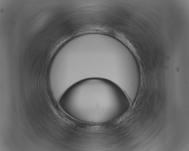 X0000078290058200611031002