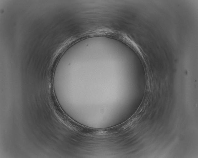 X0000078290059200611031002