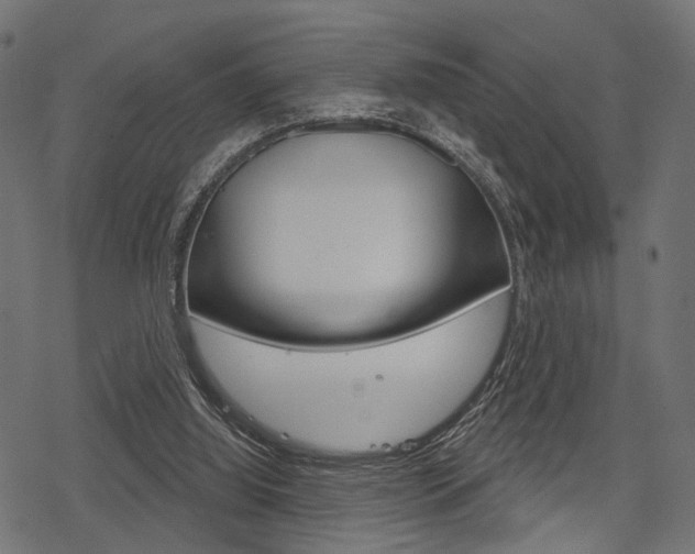 X0000078290060200611031002