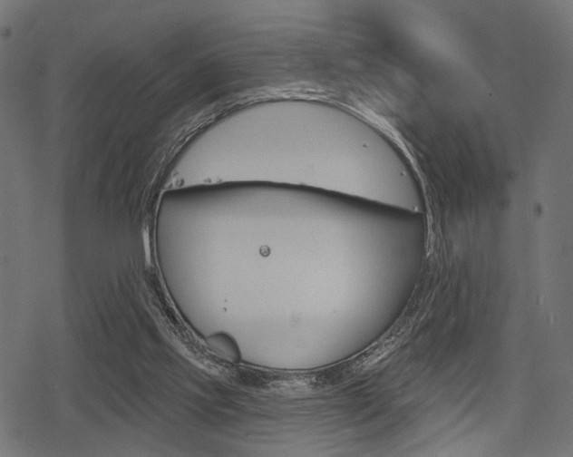 X0000078290061200611031002