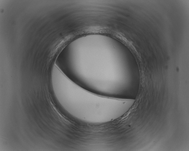 X0000078290062200611031002