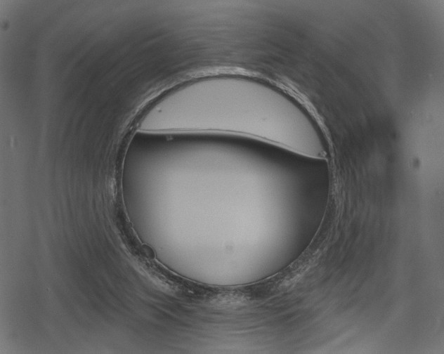 X0000078290063200611031002