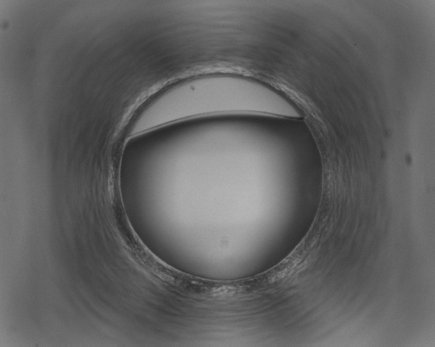 X0000078290064200611031002