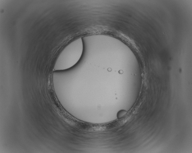 X0000078290065200611031002