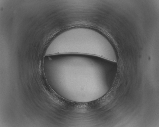 X0000078290066200611031002