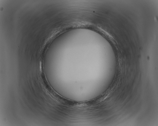 X0000078290067200611031002