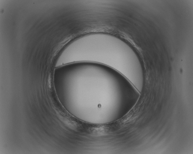 X0000078290068200611031002