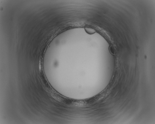 X0000078290069200611031002