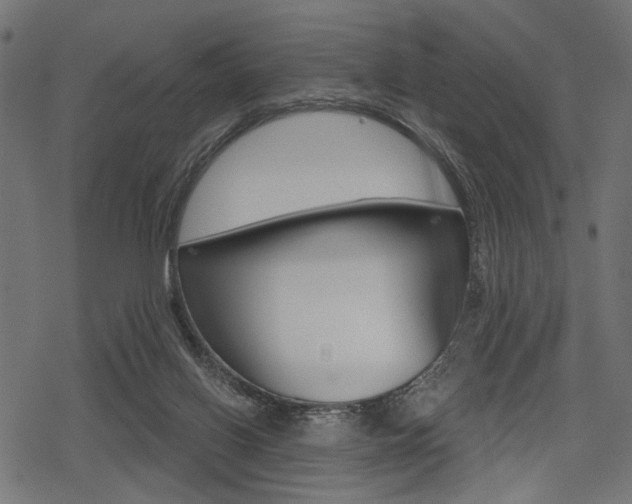 X0000078290070200611031002