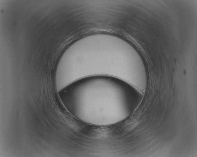 X0000078290071200611031002