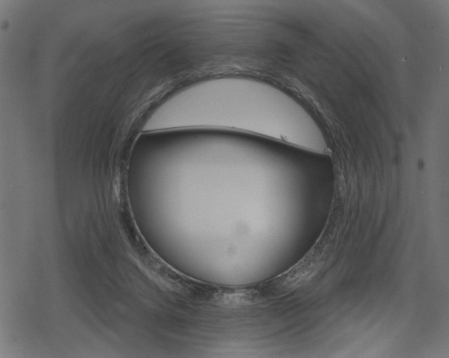 X0000078290072200611031002