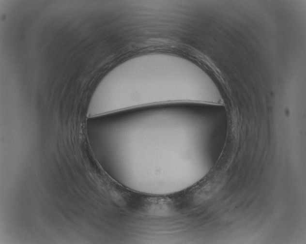 X0000078290073200611031002