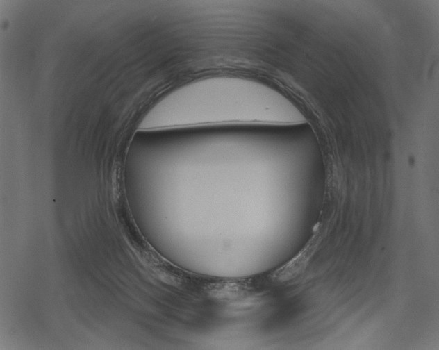 X0000078290074200611031002