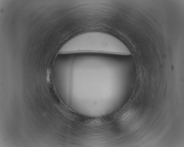 X0000078290075200611031002