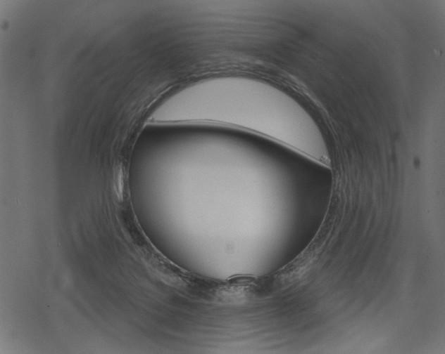 X0000078290076200611031002