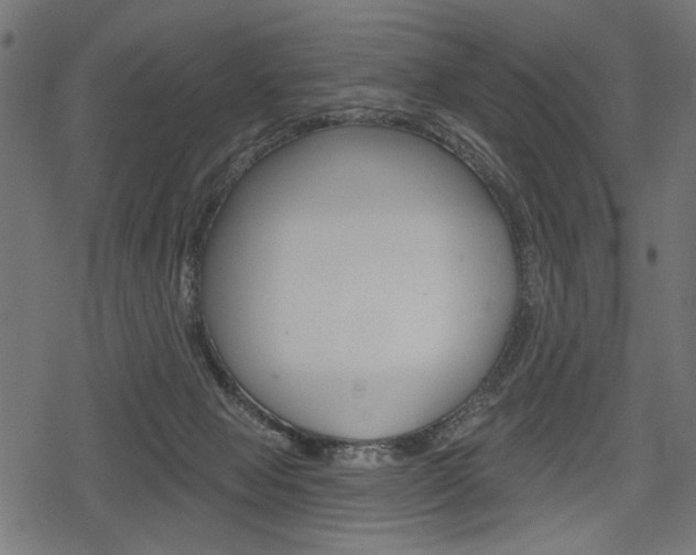 X0000078290077200611031002