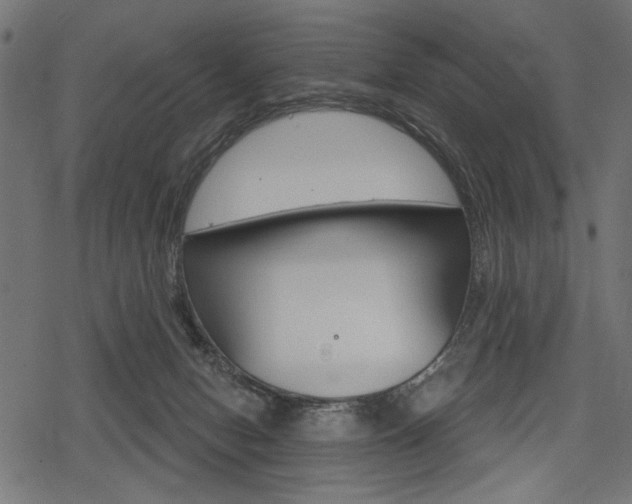 X0000078290078200611031003