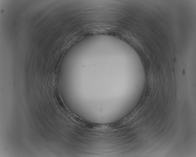 X0000078290079200611031003