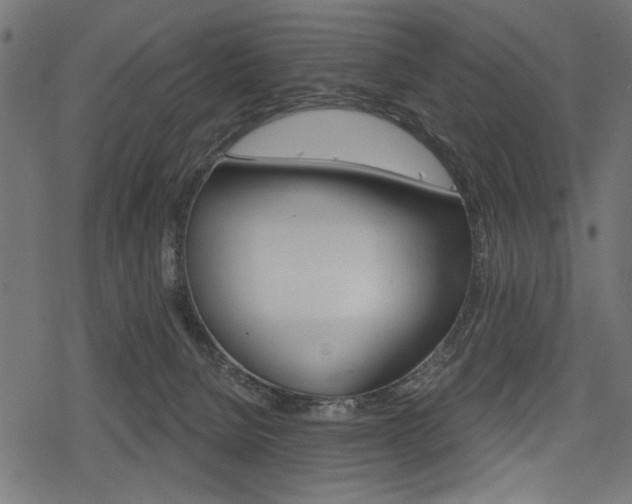 X0000078290080200611031003