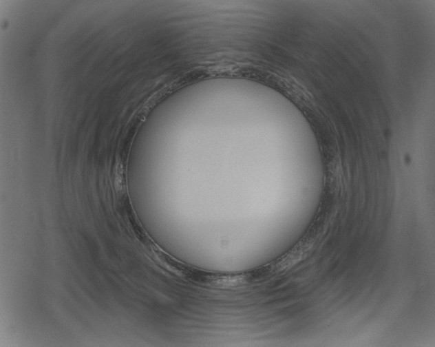 X0000078290081200611031003