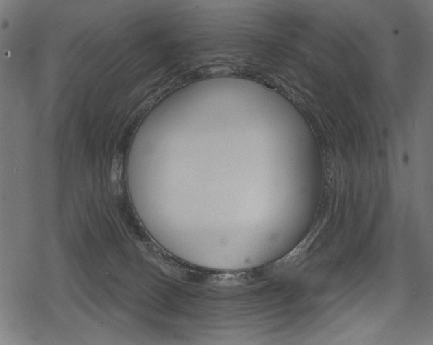 X0000078290082200611031003