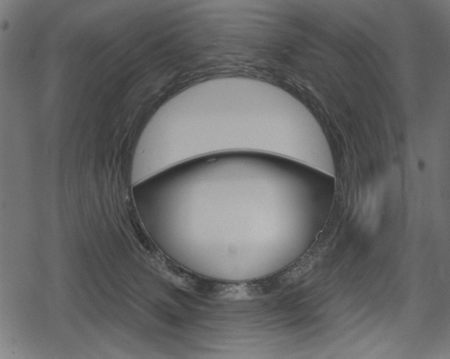 X0000078290083200611031003