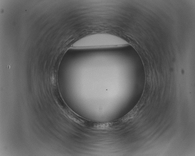 X0000078290084200611031003