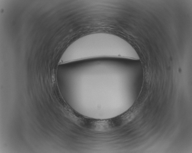 X0000078290085200611031003