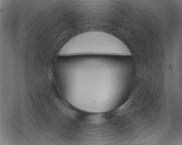 X0000078290086200611031003