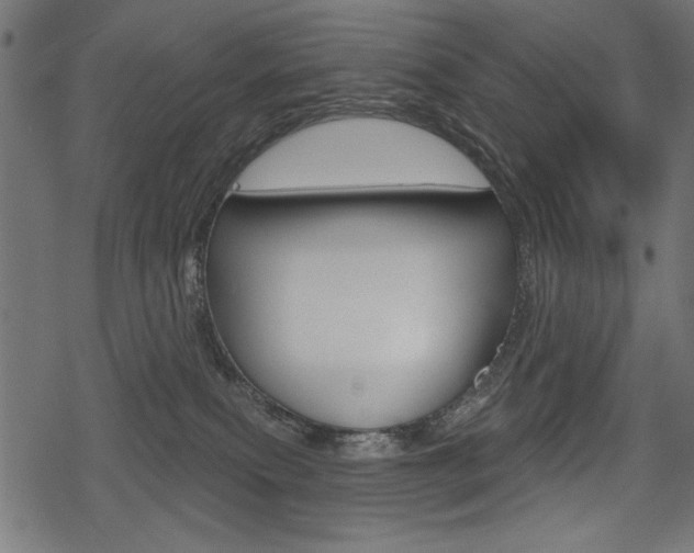 X0000078290087200611031003