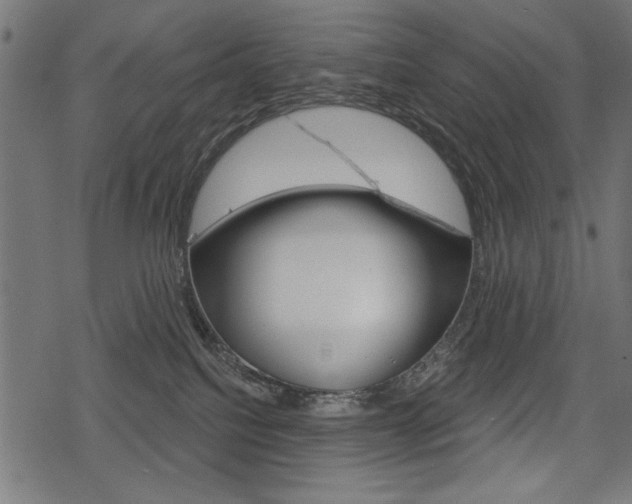 X0000078290088200611031003