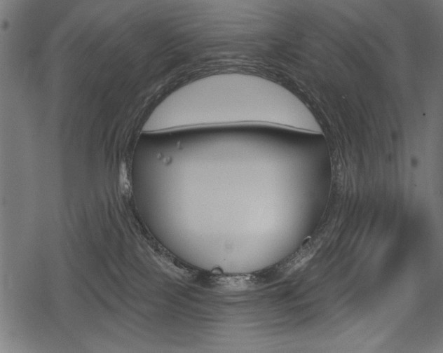 X0000078290089200611031003