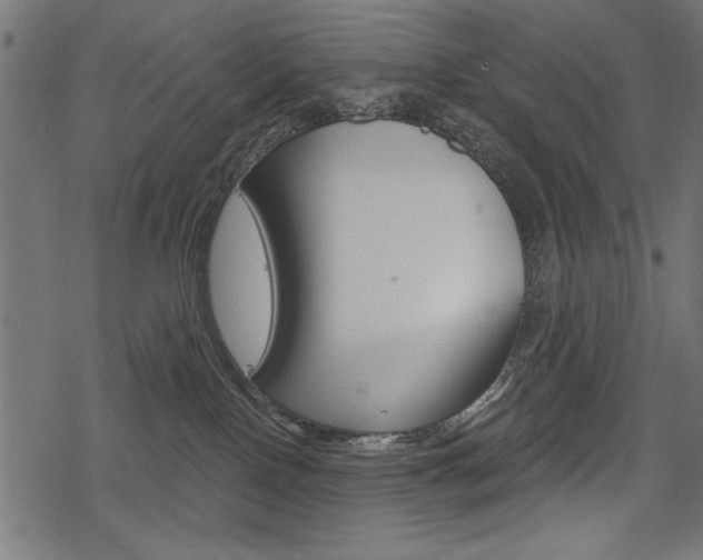 X0000078290090200611031003