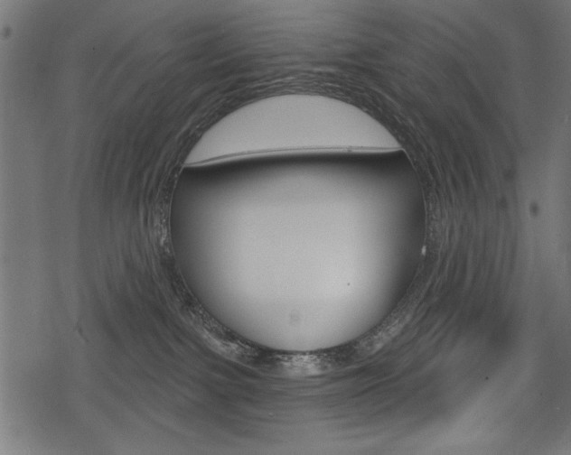 X0000078290091200611031003