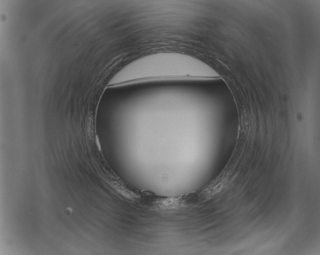 X0000078290092200611031003