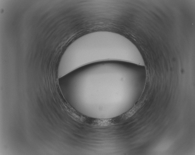 X0000078290093200611031003