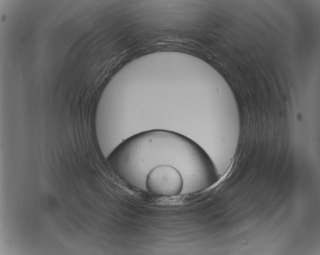 X0000078290094200611031003