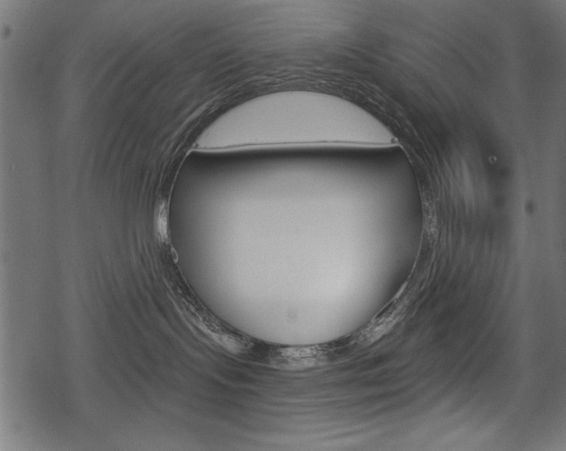 X0000078290095200611031003